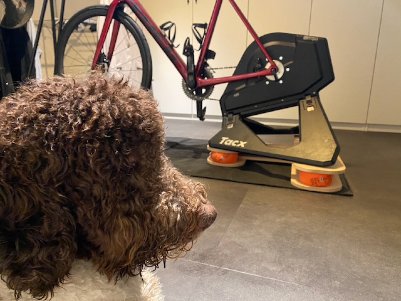 Our most loyal test rider